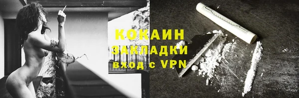 ПСИЛОЦИБИНОВЫЕ ГРИБЫ Арсеньев