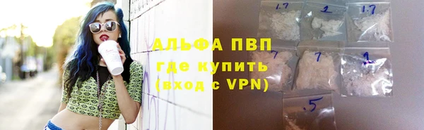 гидра Аркадак
