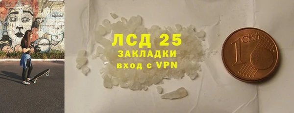 ПСИЛОЦИБИНОВЫЕ ГРИБЫ Арсеньев