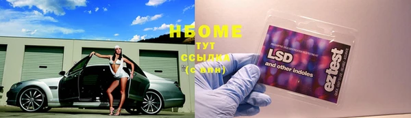 ПСИЛОЦИБИНОВЫЕ ГРИБЫ Арсеньев