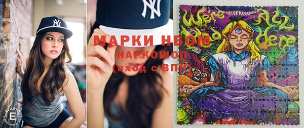 ПСИЛОЦИБИНОВЫЕ ГРИБЫ Арсеньев
