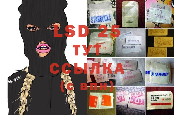 гидра Аркадак