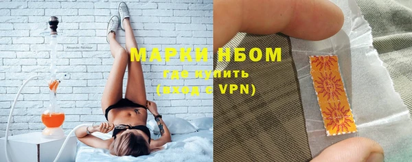 гидра Аркадак