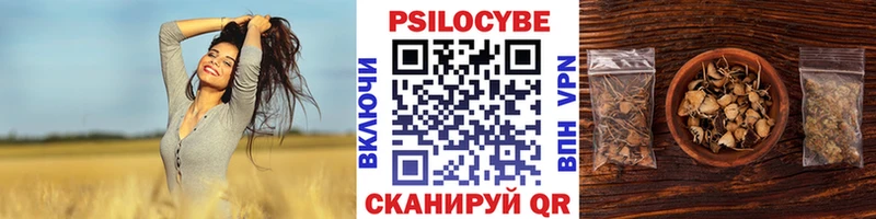 Псилоцибиновые грибы Psilocybe  hydra ССЫЛКА  Крым  сколько стоит 